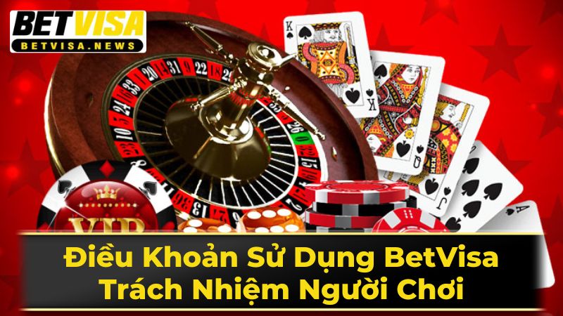 Tổng Quan Về Điều Khoản Sử Dụng BetVisa